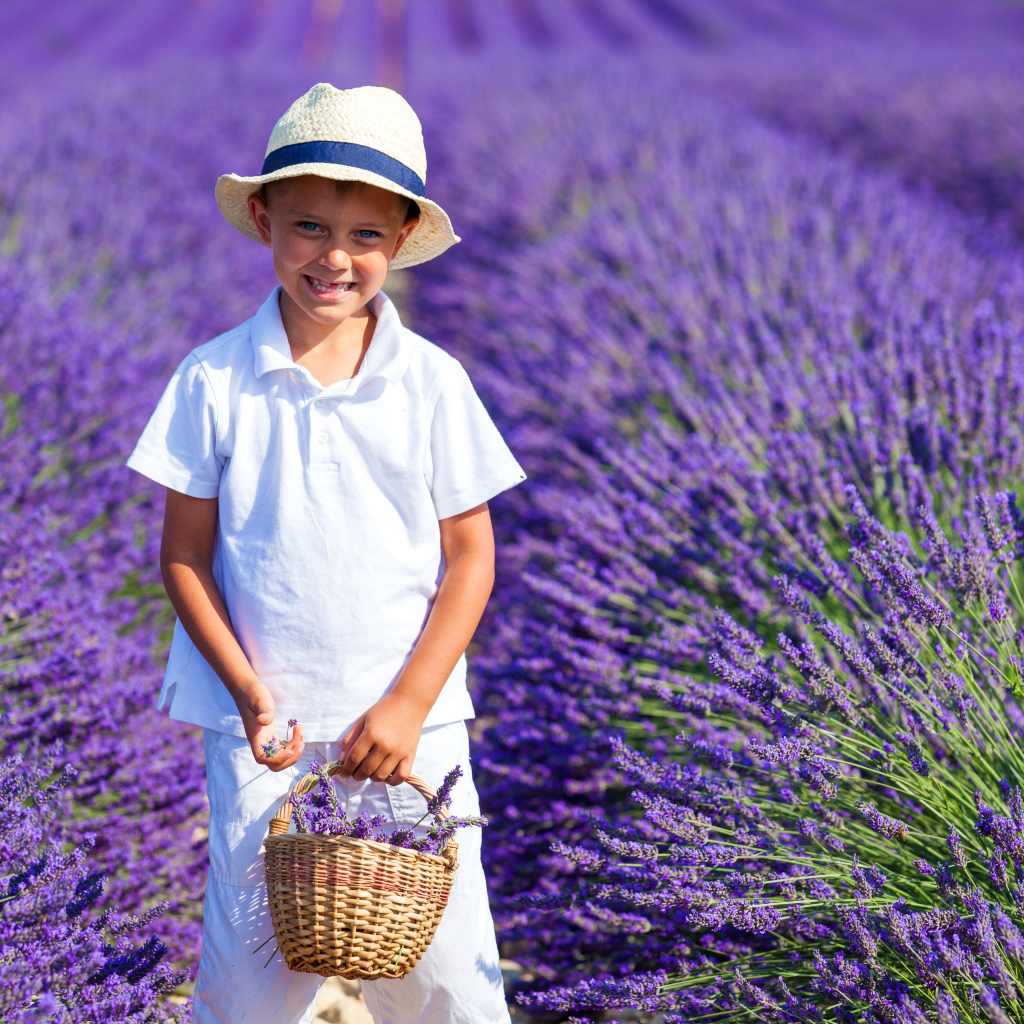 Улыбающийся мальчик на поле фиолетовой лаванды