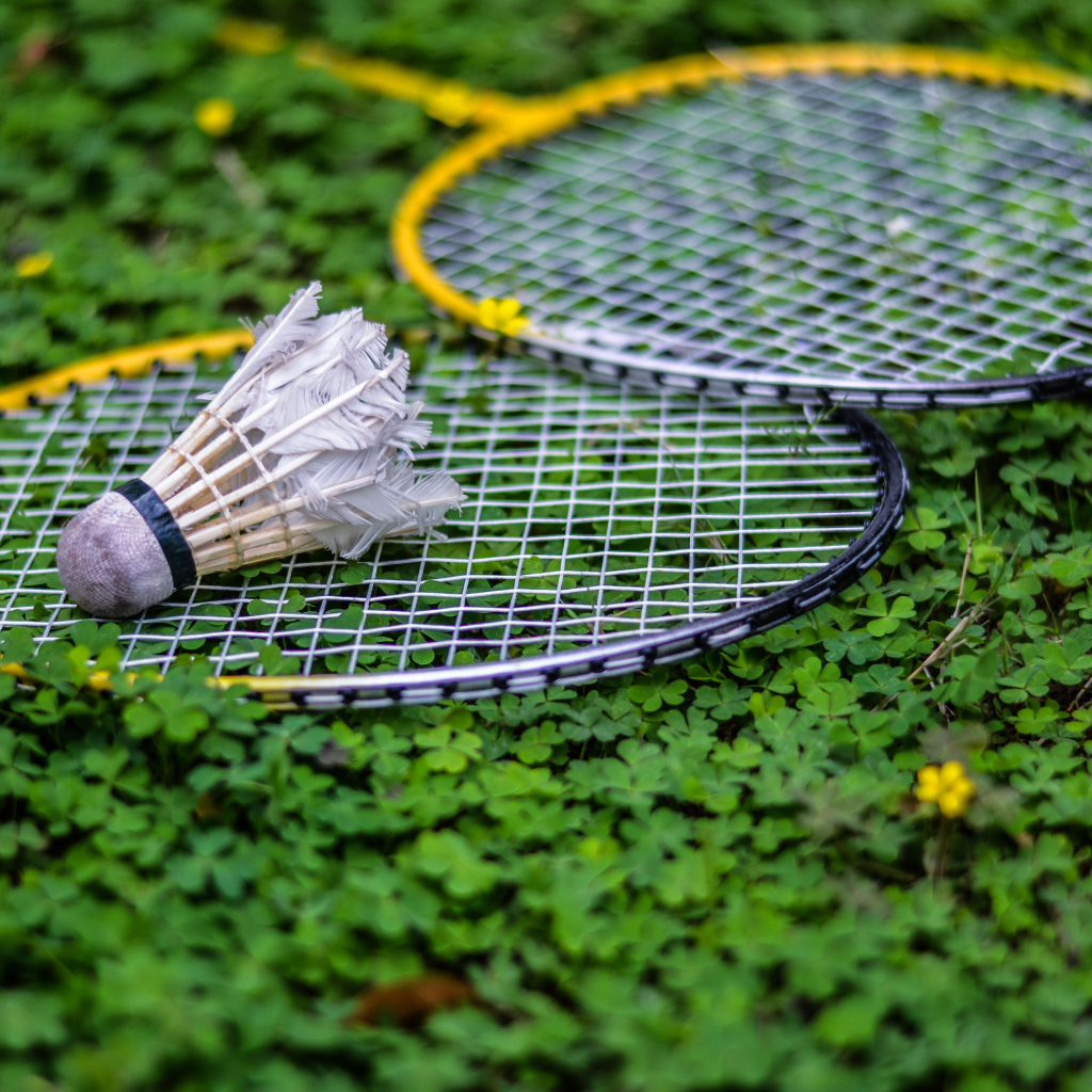 Теннисные ракетки и воланчик лежат на зеленой траве