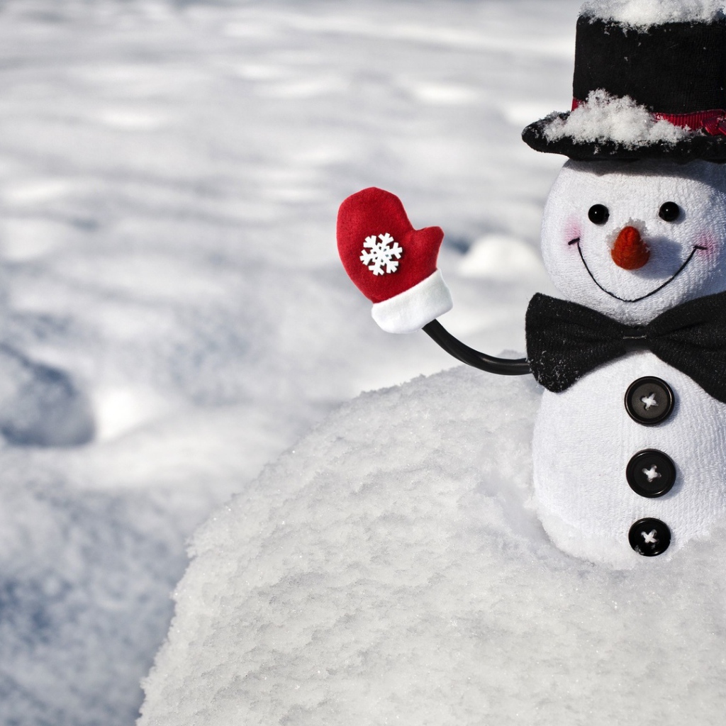 Веселый снеговик в шляпе на снегу 