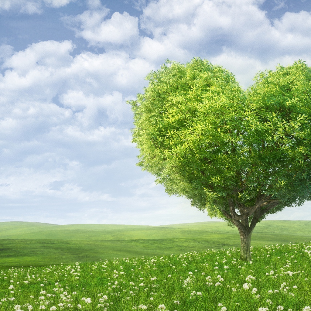 Зеленое дерево в форме сердца на фоне красивого неба