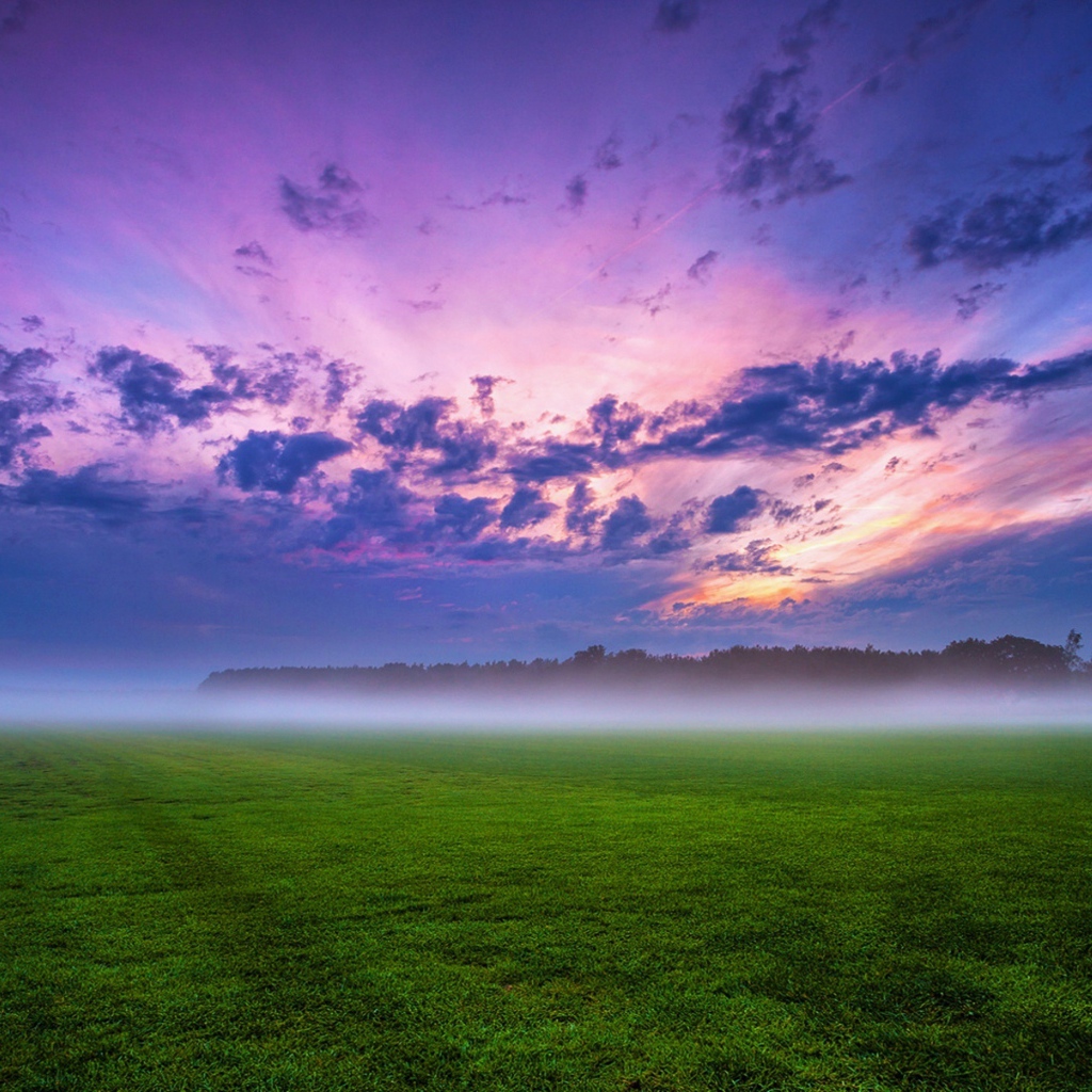 Morning mist over the field under the beautiful sky