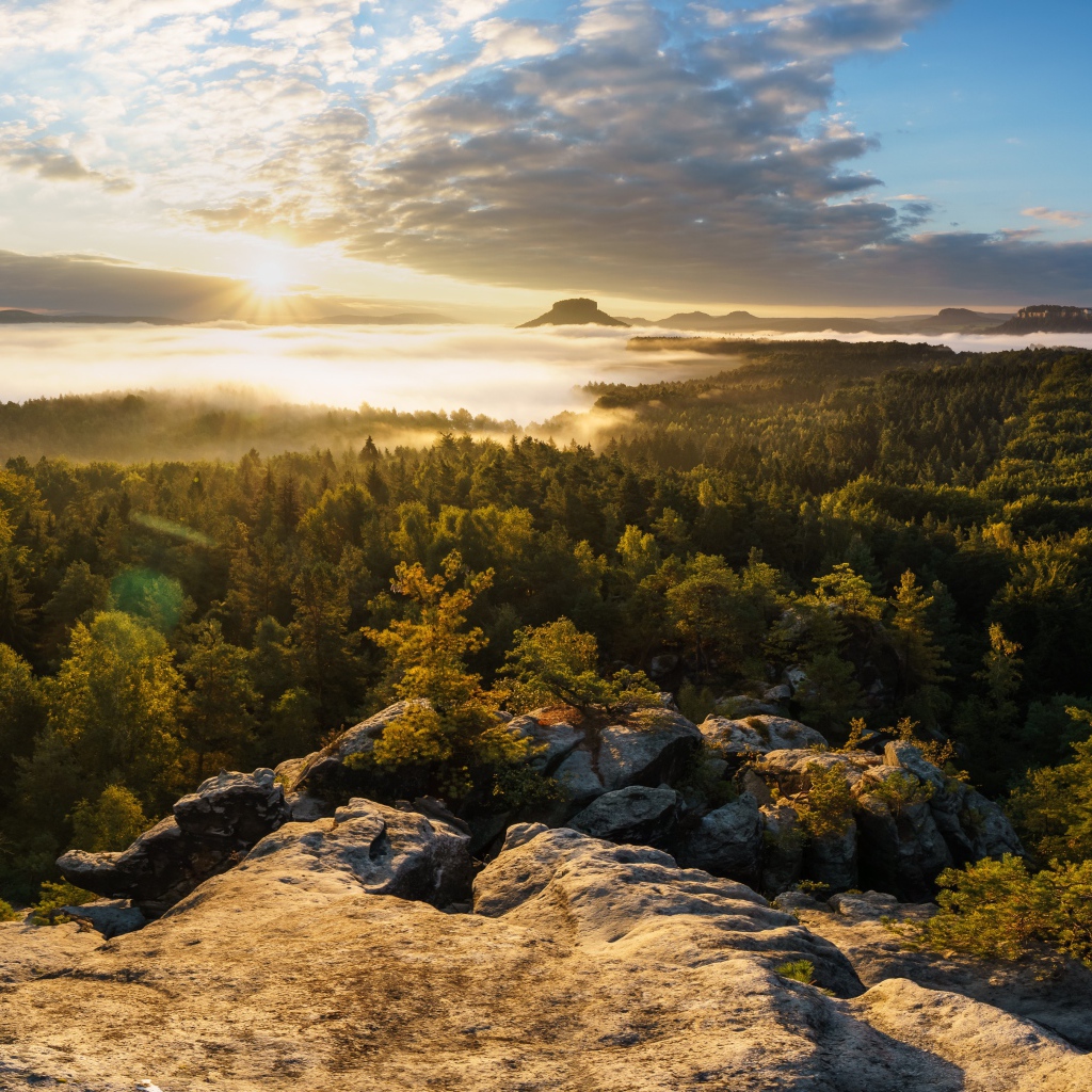 View from a cliff on a mist-covered forest and a lake at sunrise