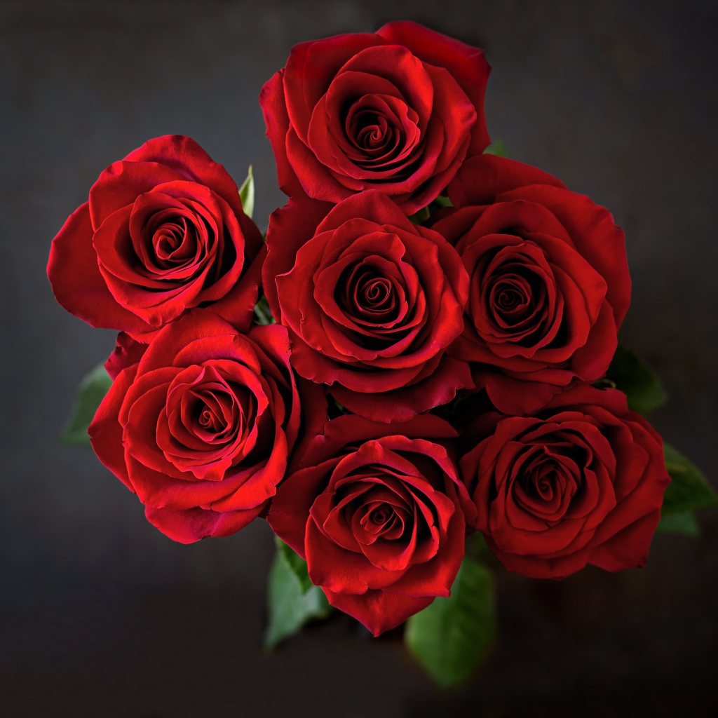 Букет красных роз на сером фоне вид сверху