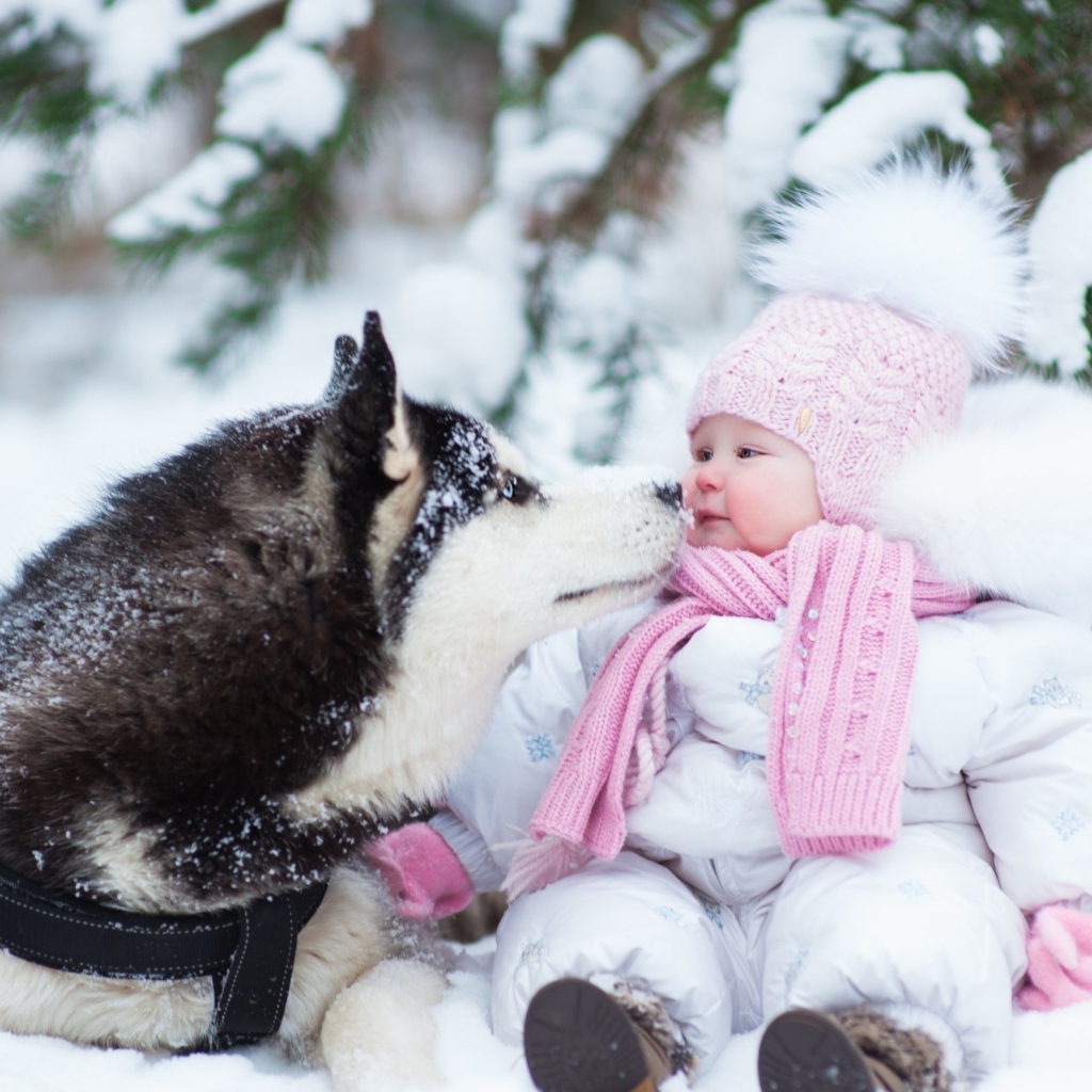 Грудной ребенок с собакой хаски на снегу