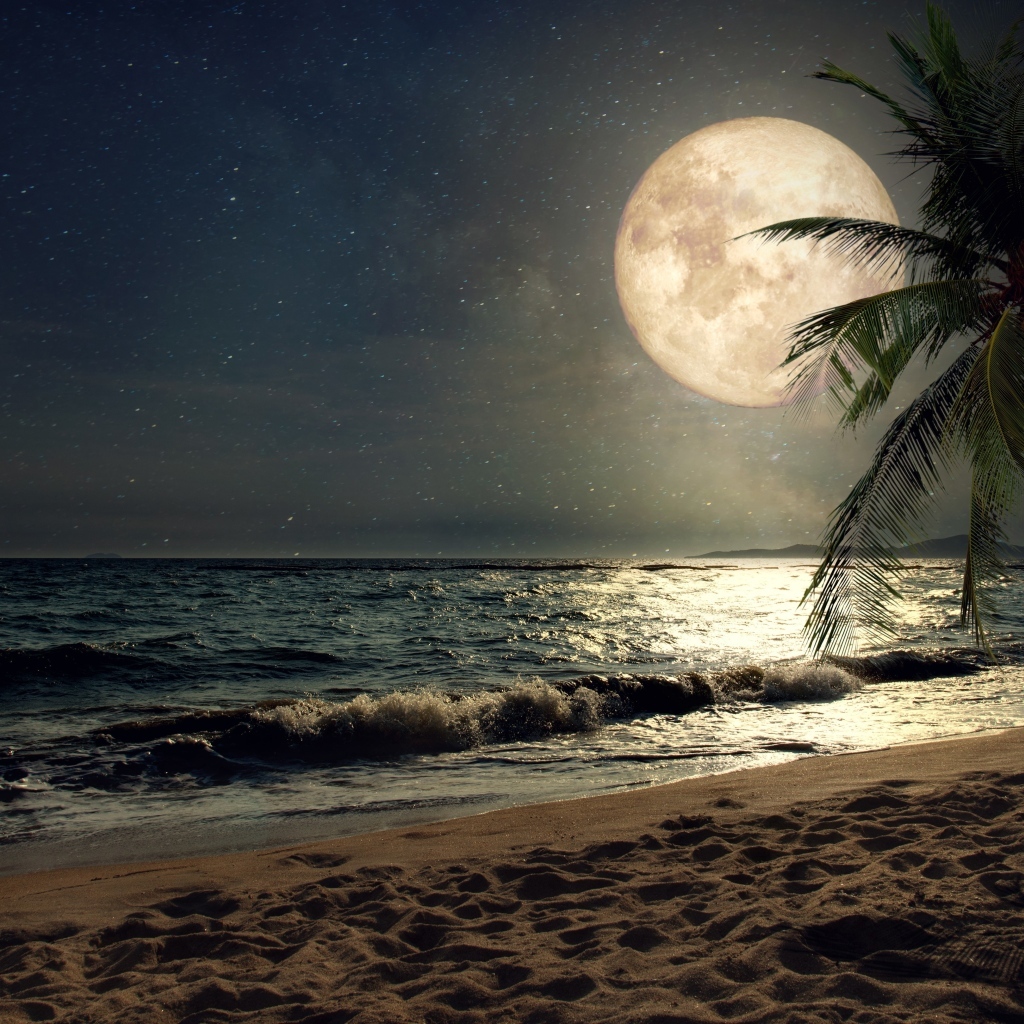 Большая желтая луна над тропическим пляжем