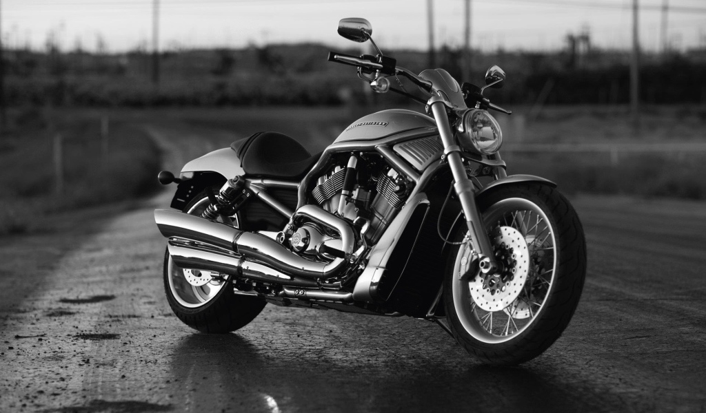 Harley Davidson  V-Rod