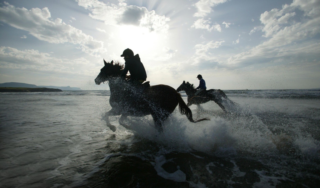 Лошади в воде