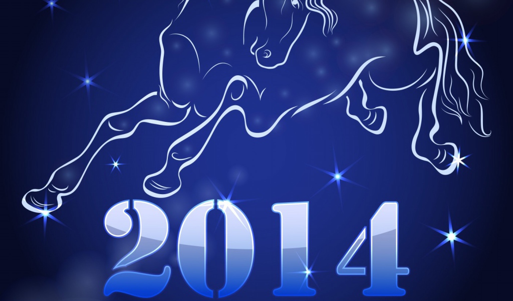 Celebrating New Year 2014