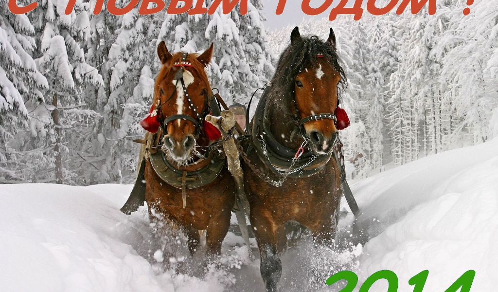 С новым годом 2014, лошадки бегут по снегу