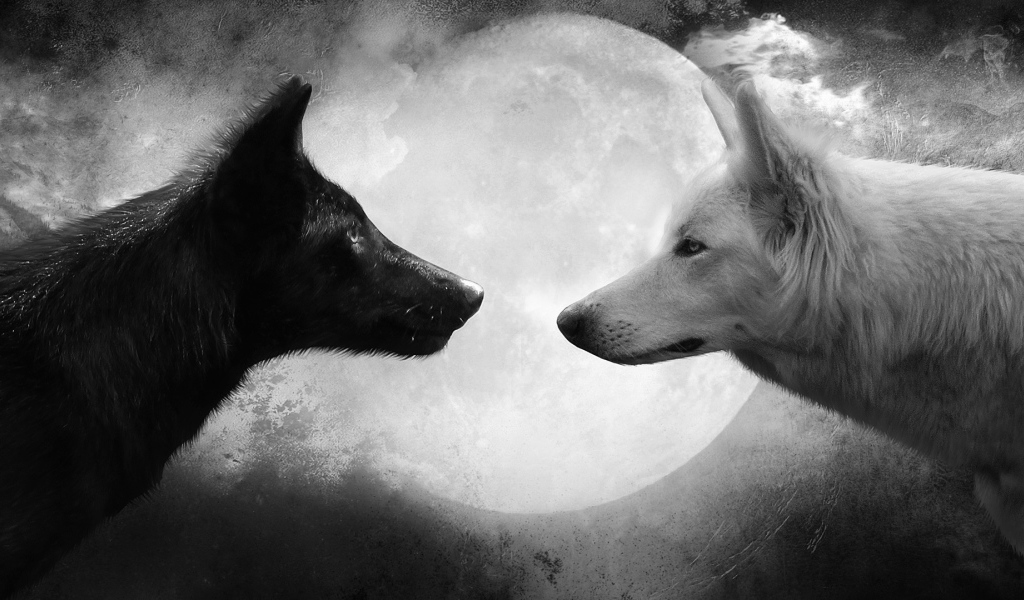 Волки на фоне луны