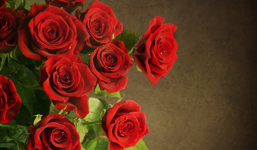 http://www.zastavki.com/pictures/1024x600/2014/Holidays___International_Womens_Day__Luxury_bouquet_red_roses_on_March_8_060673_27.jpg
