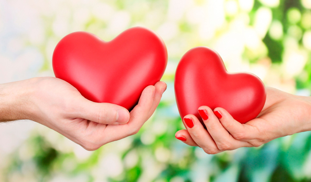 Сердца в руках на День Святого Валентина 14 февраля