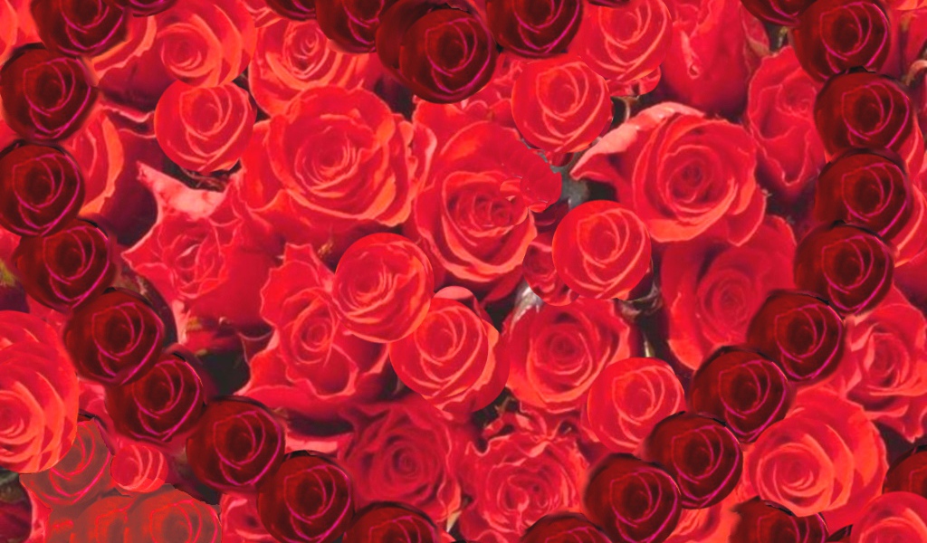 Сердце из роз на День Святого Валентина