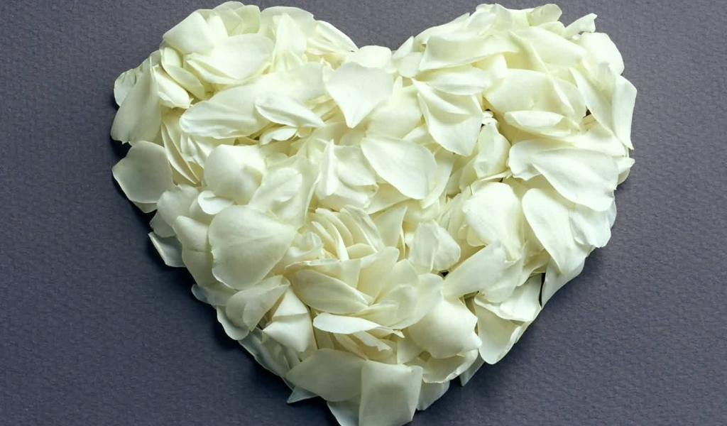 Сердце из белых лепестков на День Влюбленных 14 февраля
