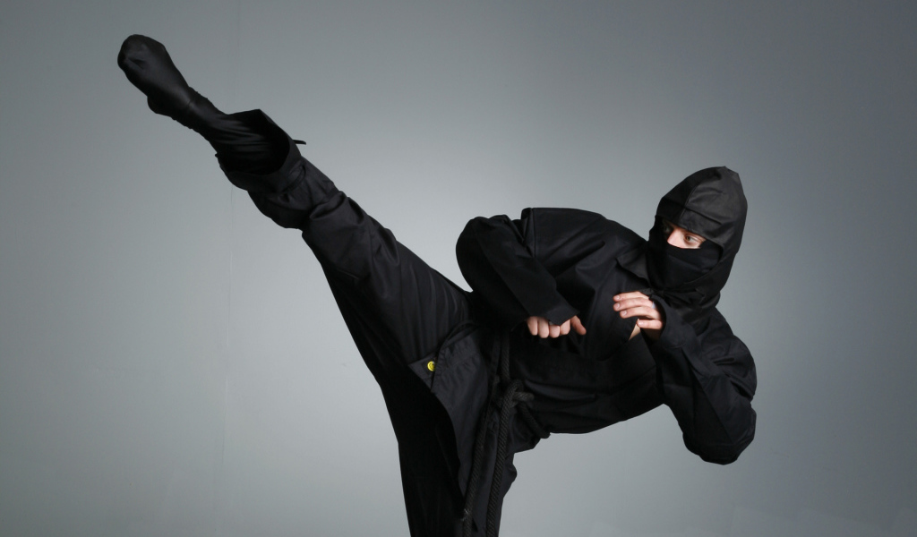 	   Ninjas in black suit