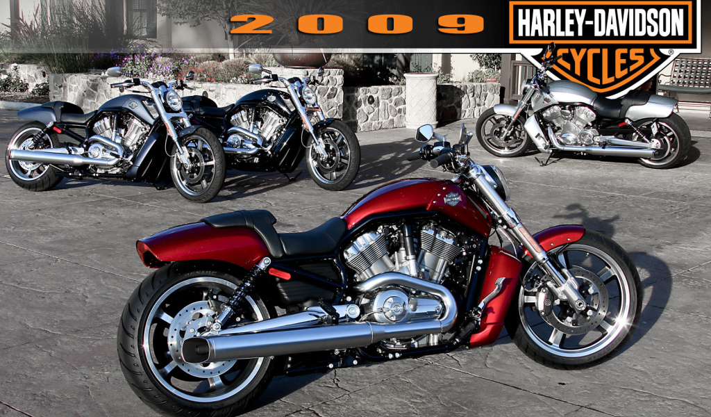 Новый мотоцикл Harley-Davidson V-Rod Muscle
