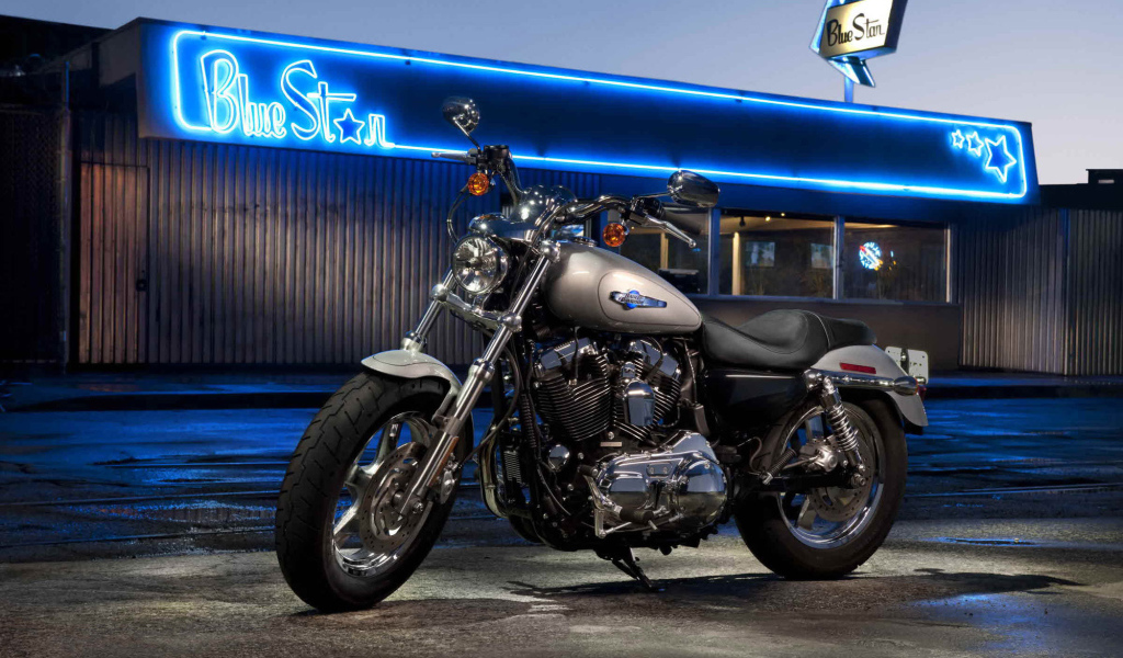 Надежный мотоцикл Harley-Davidson XL 1200C Sportster Custom