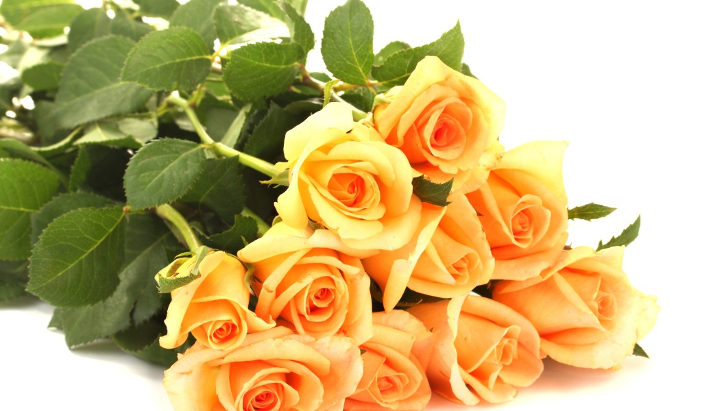 Букет оранжевых роз