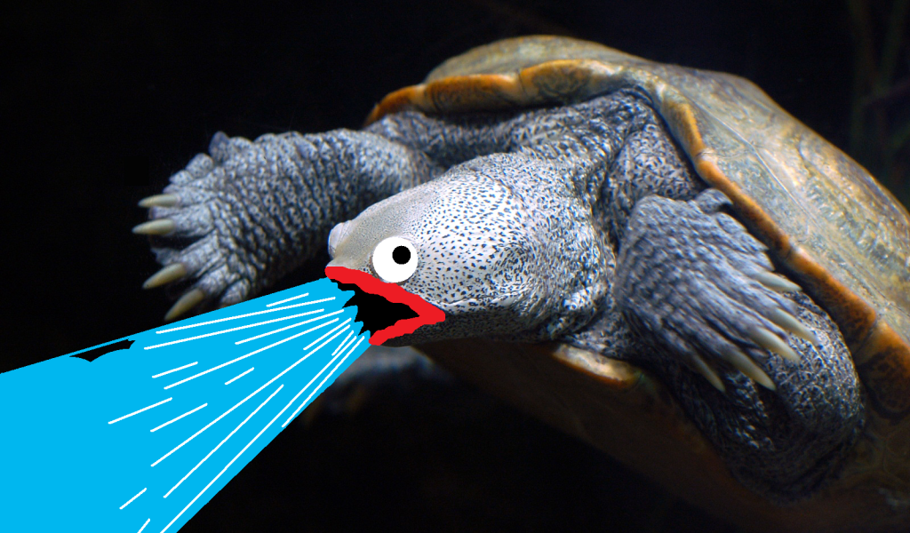 Черепаха изрыгает воду