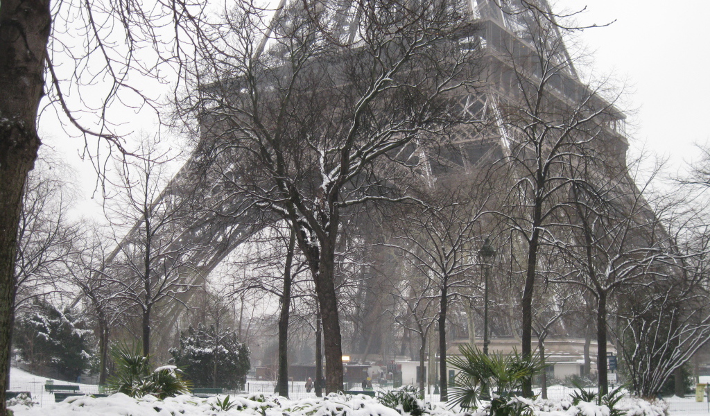 Снег в Париже елки вокруг Эйфелевой башни