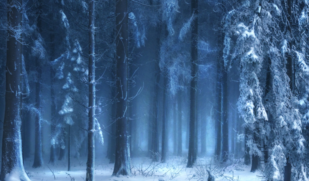 Зимний лес в тумане