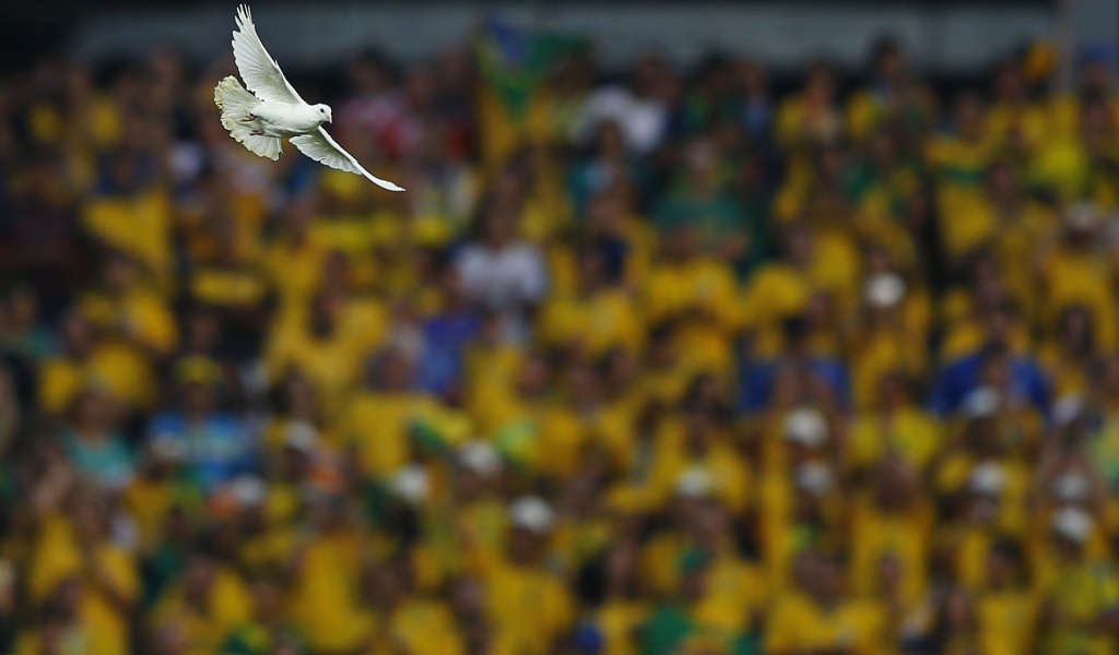 Голубь на стадионе на Чемпионате мира по футболу в Бразилии 2014