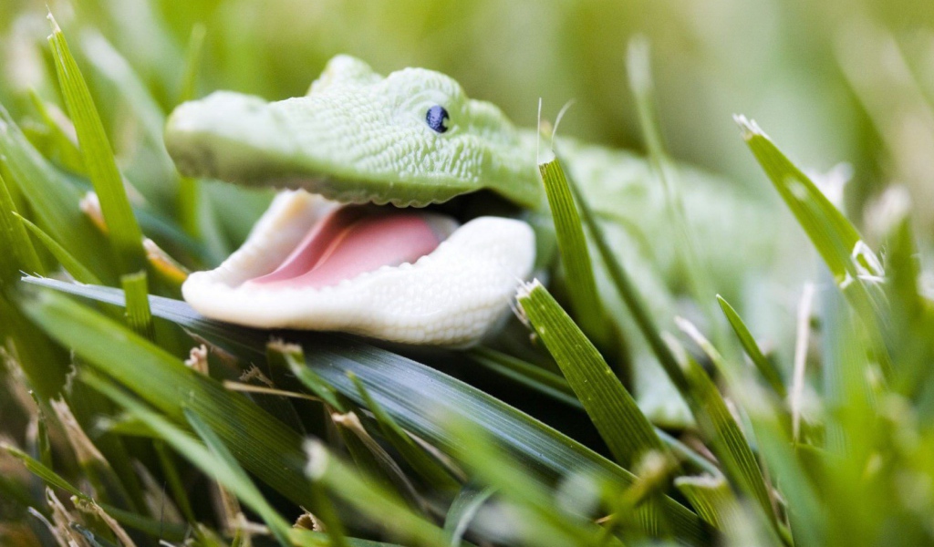 Зеленый крокодильчик в траве