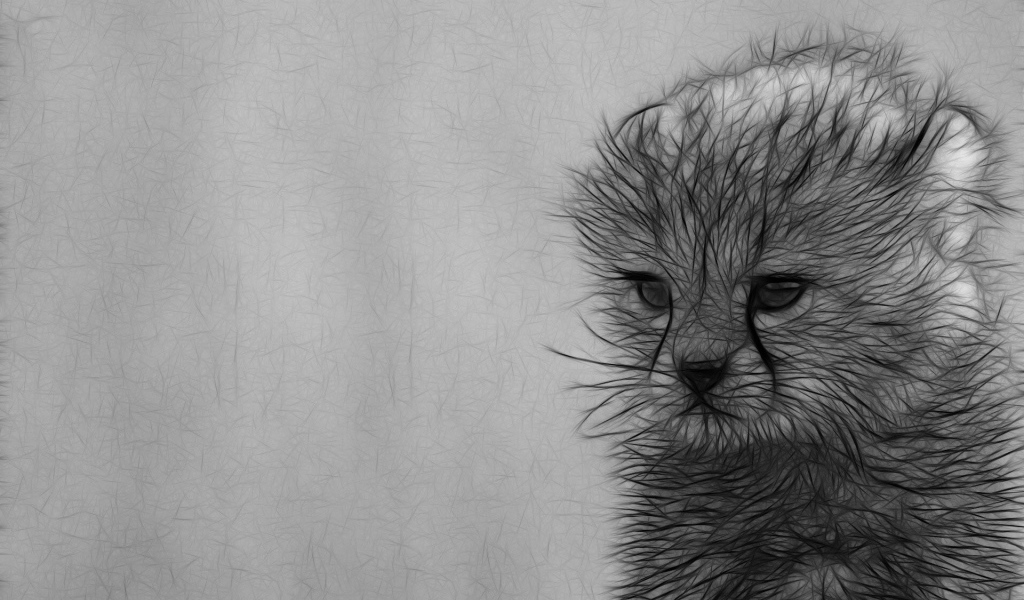Серый рисунок котенка