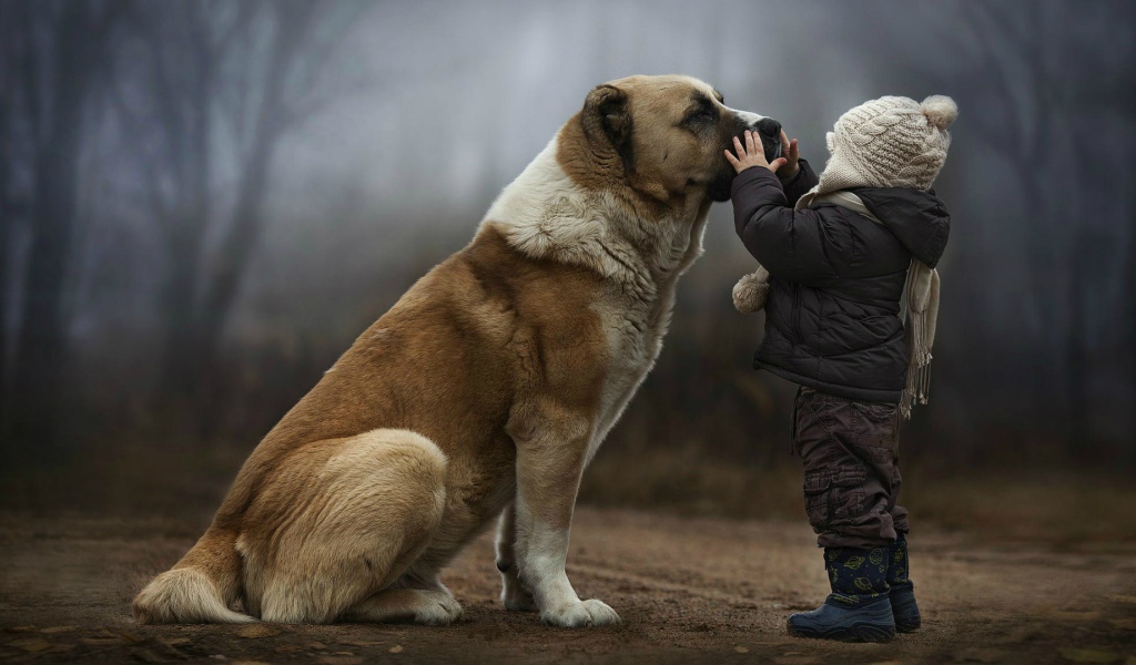 Ребенок с большим псом