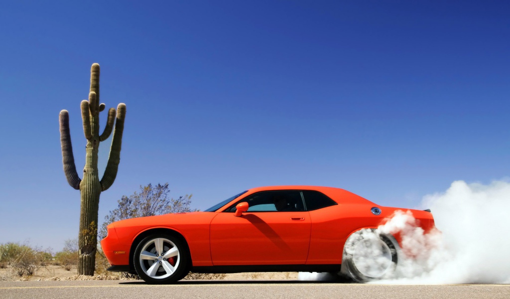 Оранжевый автомобиль стартует возле кактуса