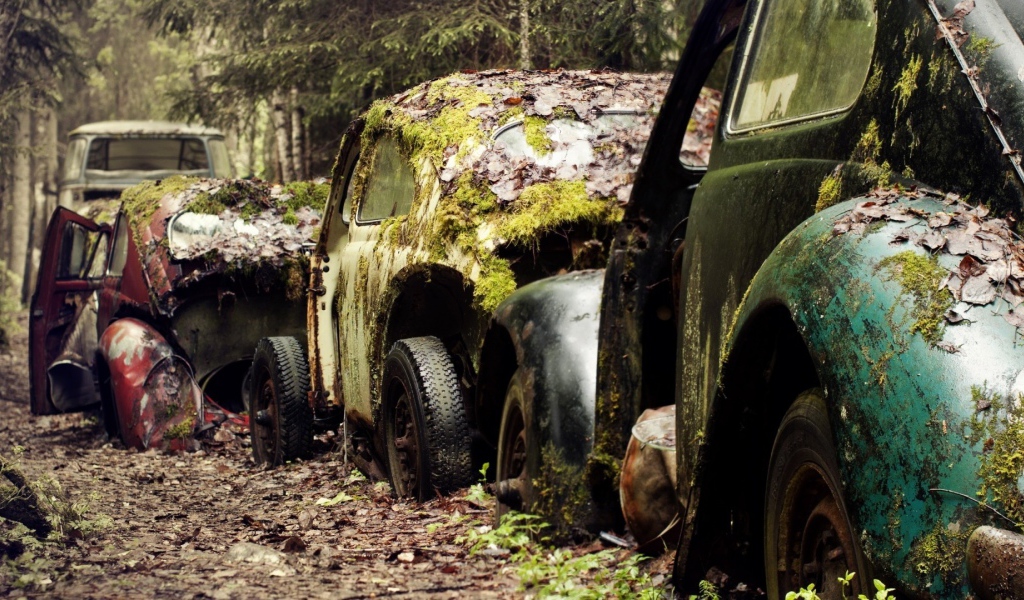 Остатки старых брошенных автомобилей