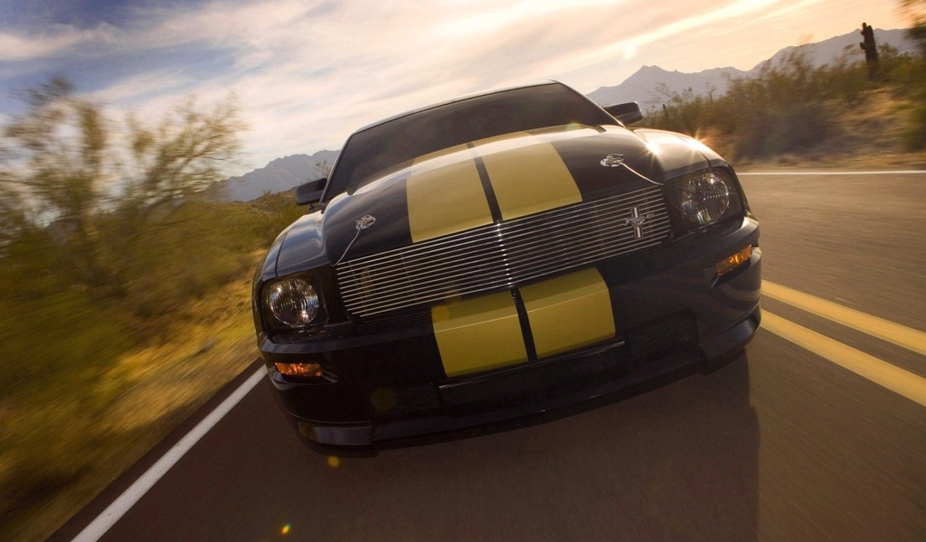 Quick Mustang with yellow stripes