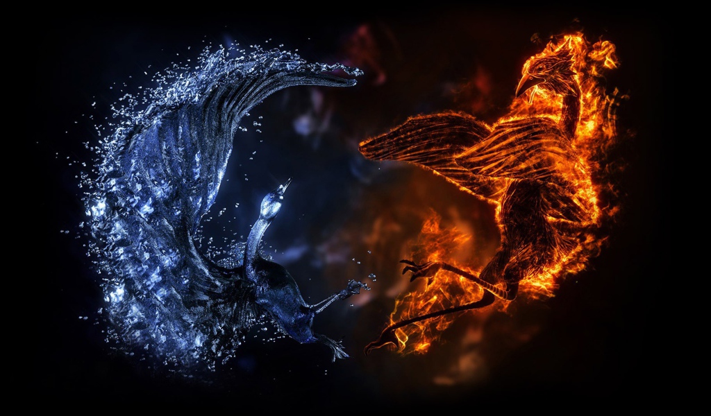 Сражение птиц стихий воды и огня