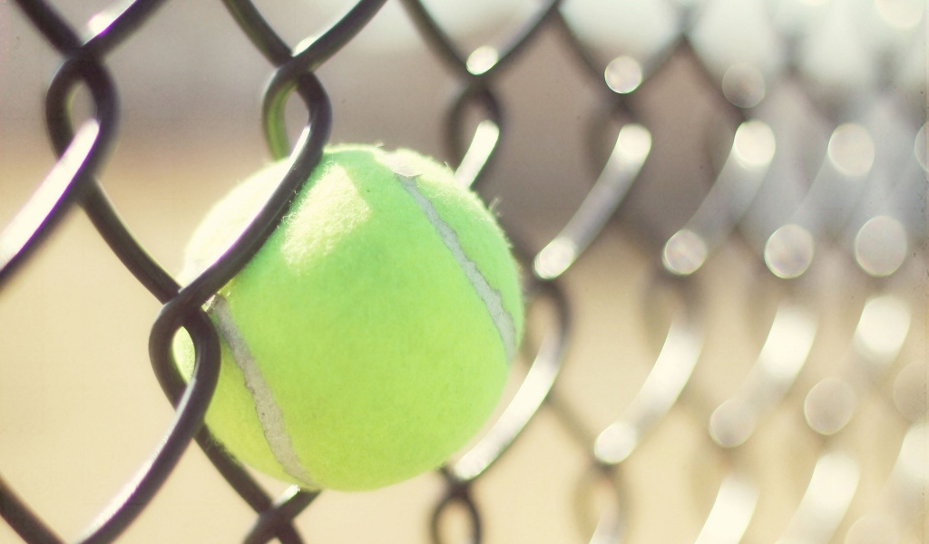 Мяч для тенниса застрял в решетке