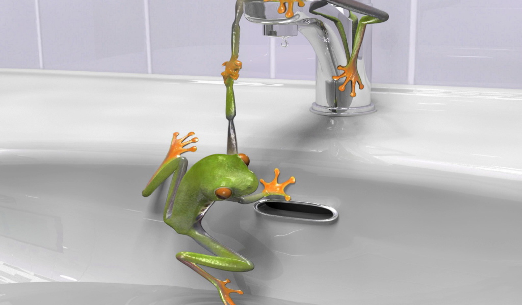 Зеленые лягушки в раковине