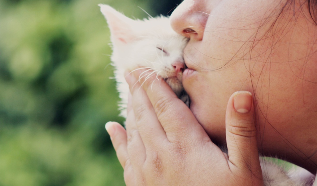 Девушка целует белого котенка