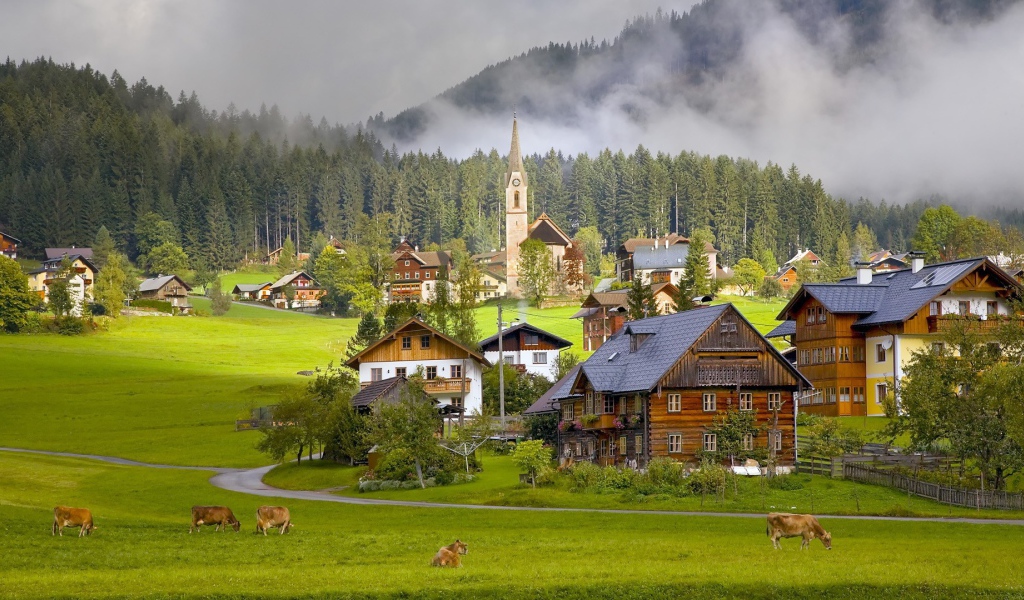 Коровы на пастбище альпийской деревни