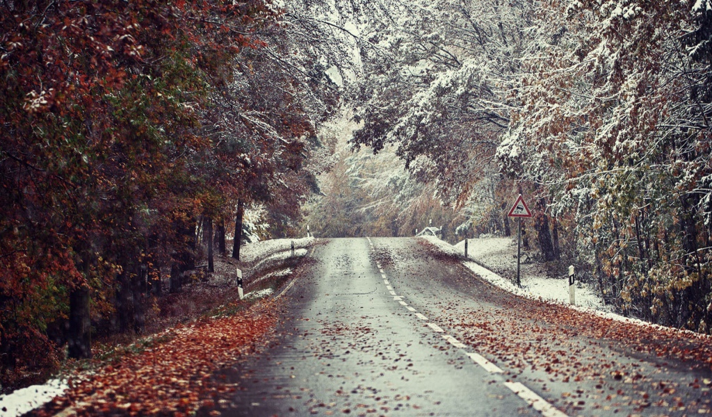 Встреча зимы и осени на обочинах дороги