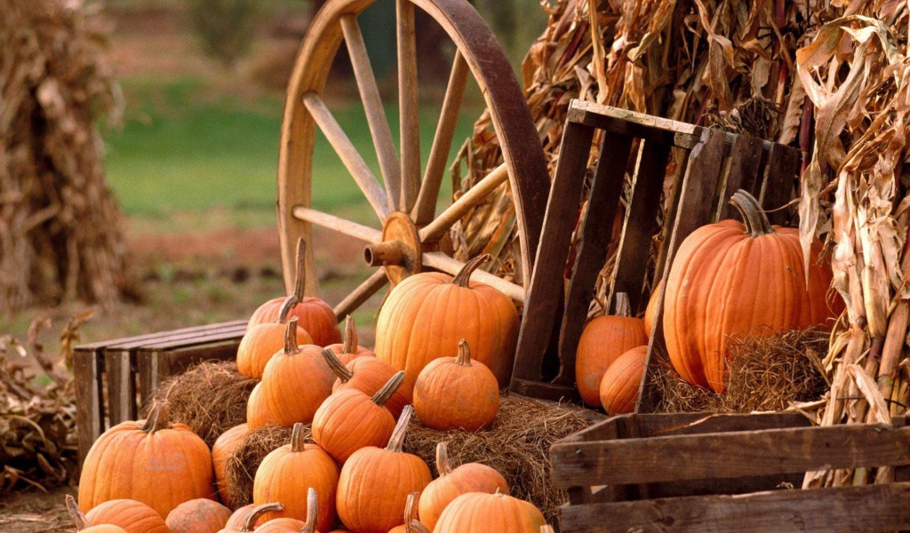Осенний урожай тыкв у деревянного колеса