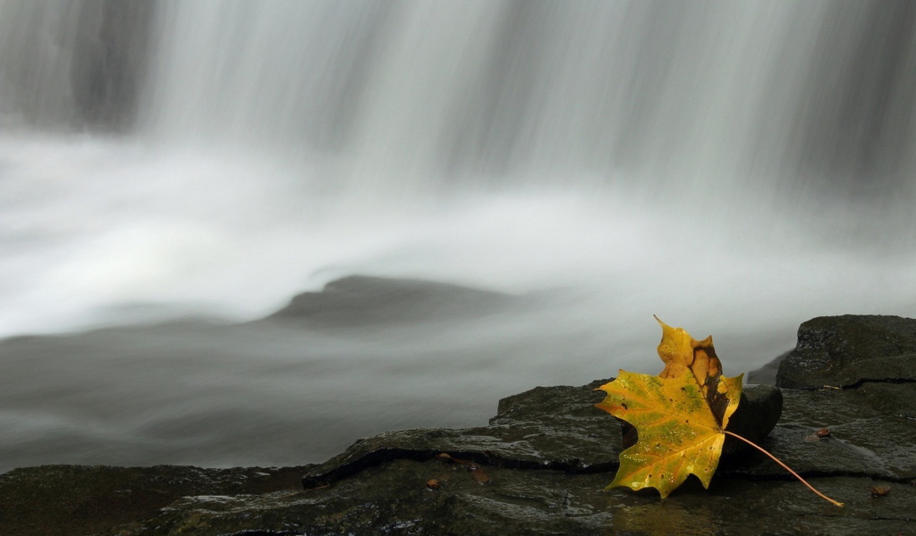Осенний лист у водопада