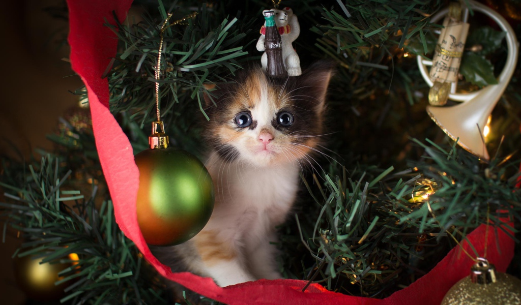 Маленький милый котенок сидит на нарядной елке на новый год