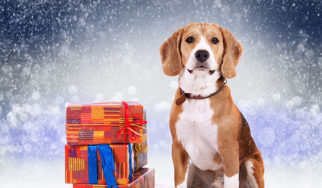Собака символ нового года 2018 с подарками