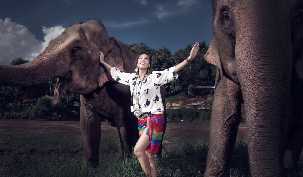 Красивая девушка азиатка с двумя большими слонами