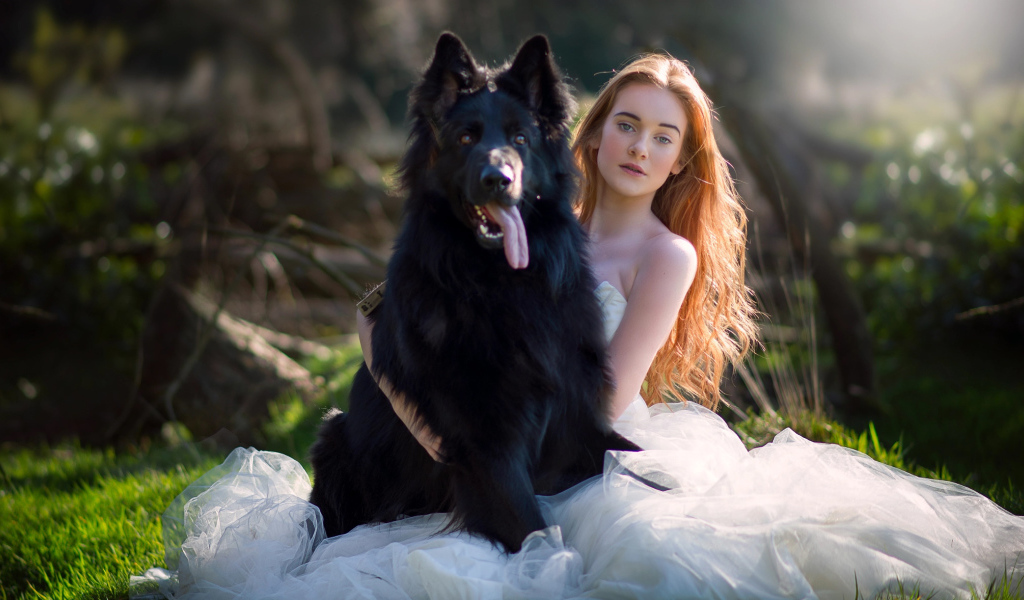 Красивая девушка невеста с большой черной собакой