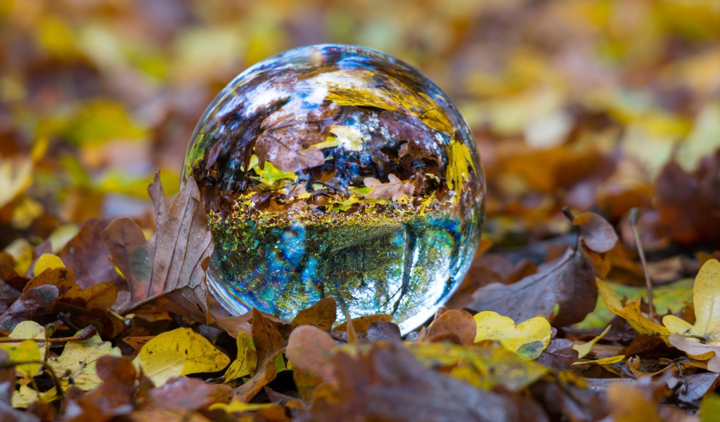 Стеклянный шар лежит на сухой желтой траве осенью