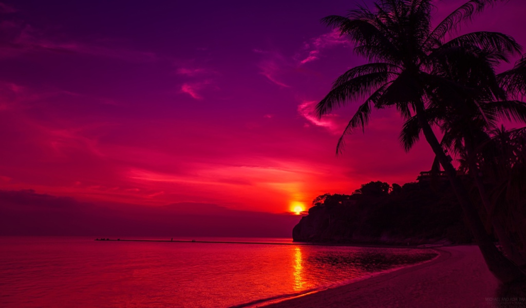 Пальмы на пляже под розовым закатом 