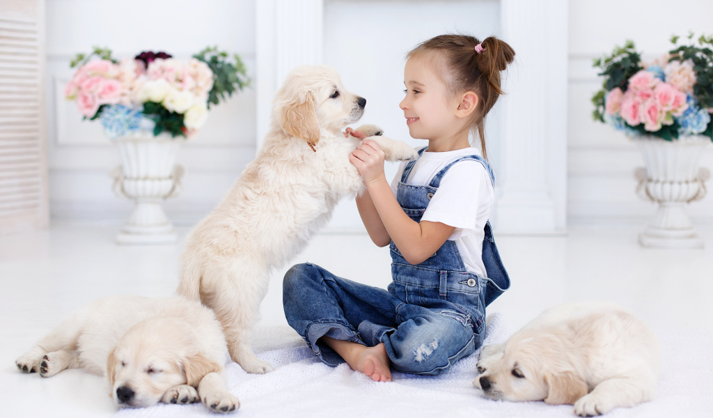 Маленькая девочка играет со щенками золотистого ретривера