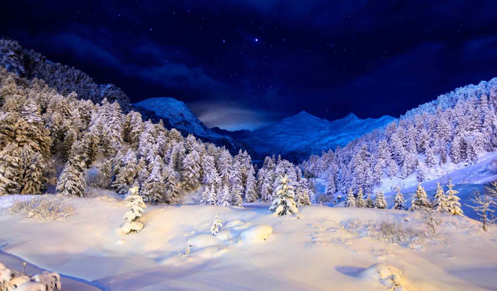 Зимняя ночь в заснеженном лесу 