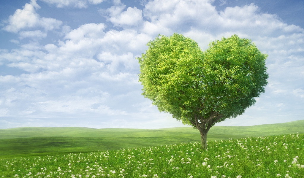A green tree in the shape of a heart against a beautiful sky