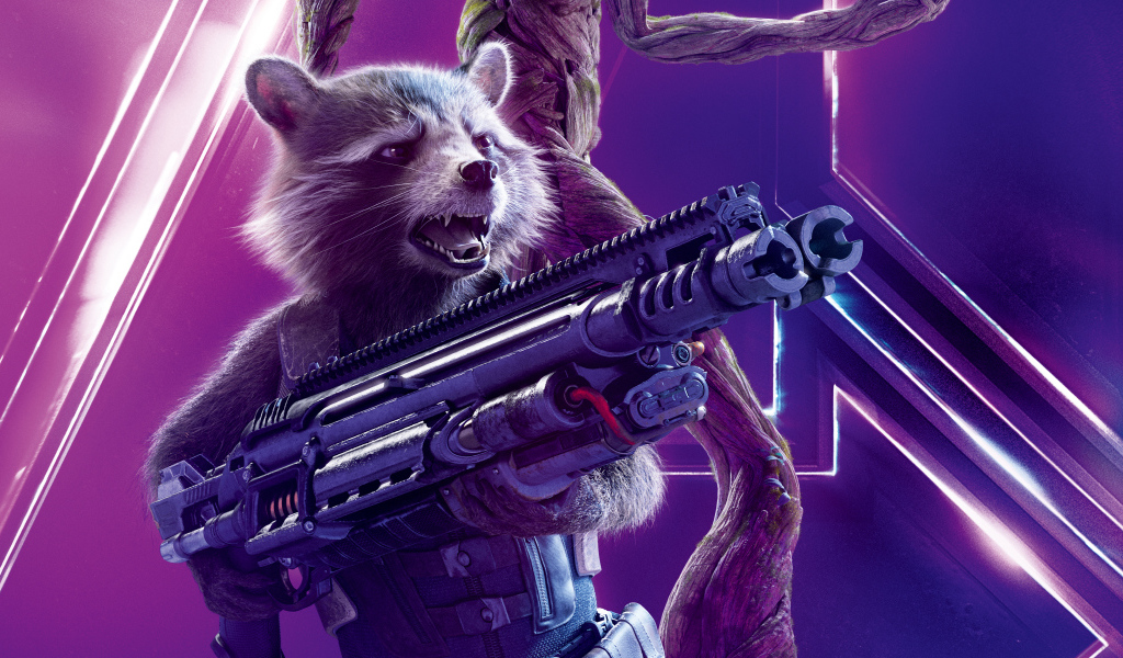 Rocket, the character of the film The Avengers: The War of Infinity, 2018